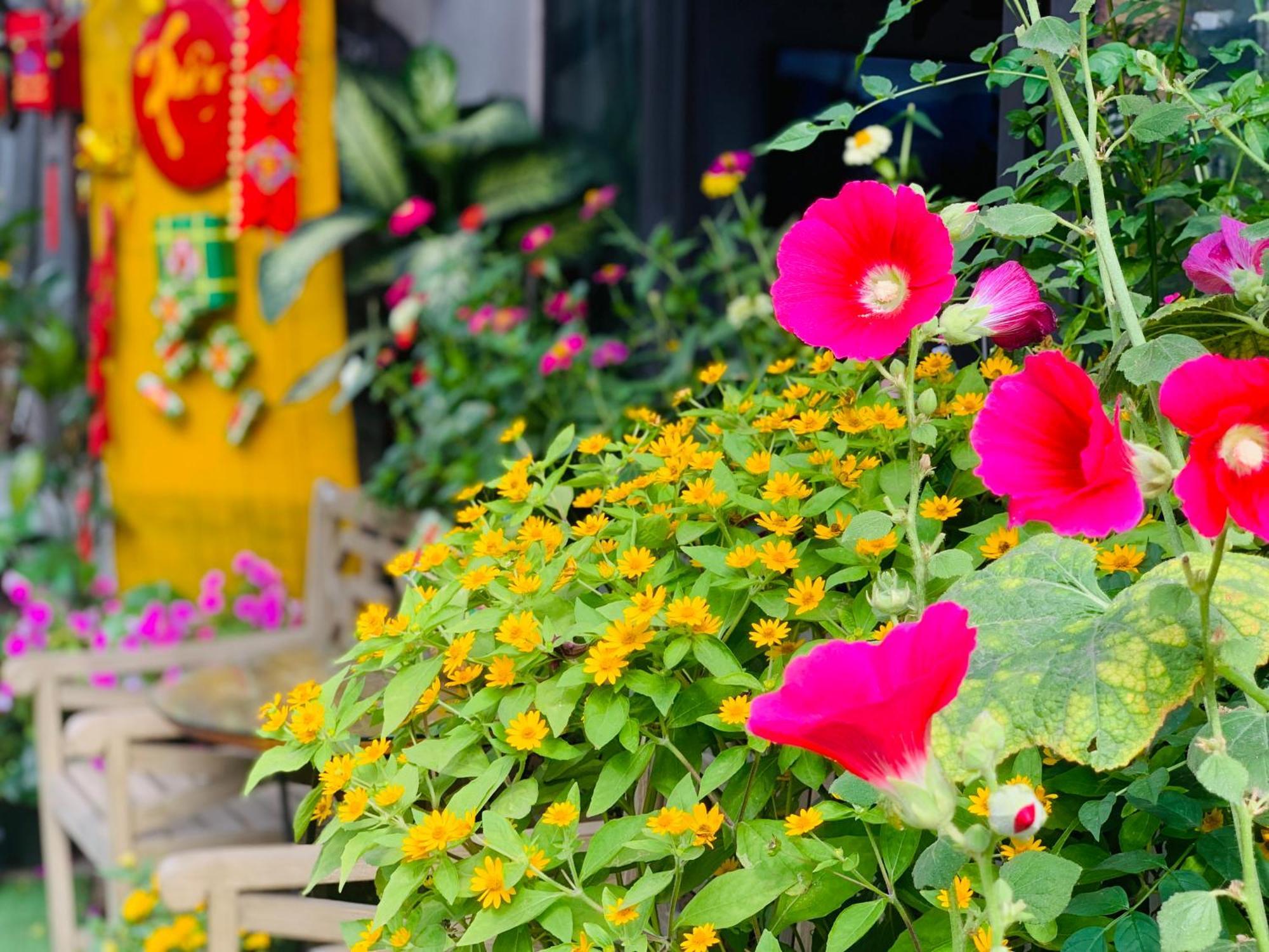 May'S House Hoi An Exterior foto